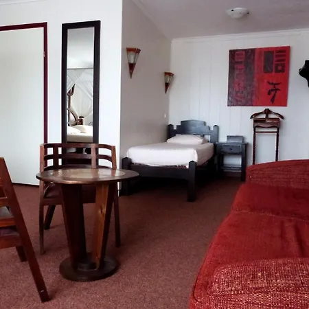 Wienerhof 3* Ντεν Χέλντερ