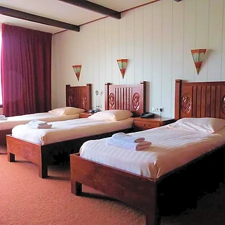 Wienerhof 3* Ντεν Χέλντερ